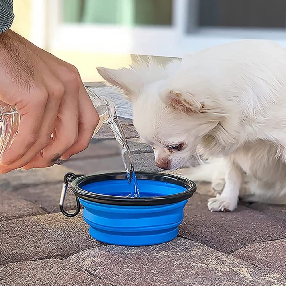 🍒5 for $15🍒 Green  Portable Travel Collapsible Foldable Dog Dish Water New
